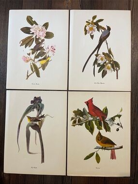 Audubon Birds Of America Prints (L1)